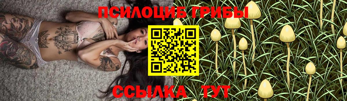 Псилоцибиновые грибы Magic Shrooms Гулькевичи