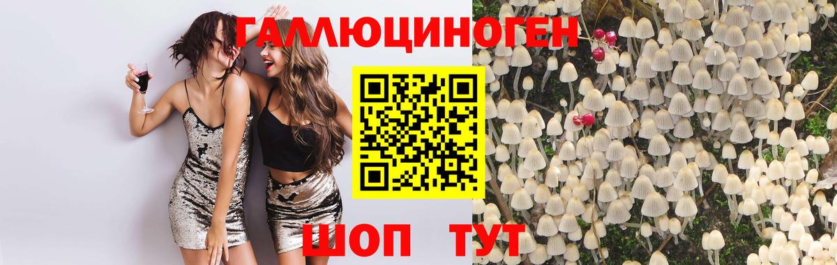 Гулькевичи  Галлюциногенные грибы прущие грибы  Галлюциногенные грибы прущие грибы  Вход с VPN 